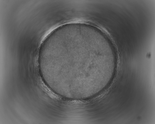 X0000114621216200912010953