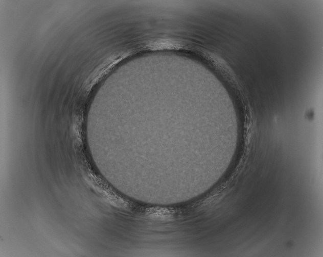 X0000114621217200912010953