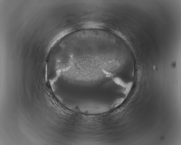 X0000114621219200912010953