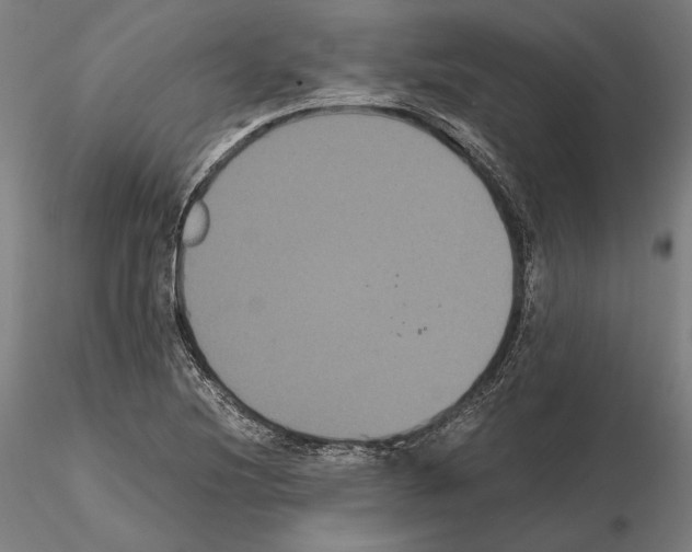 X0000114621220200912010953