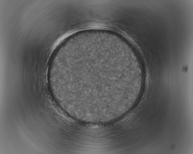 X0000114621222200912010953