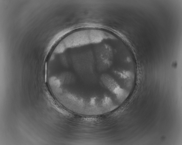 X0000114621223200912010953