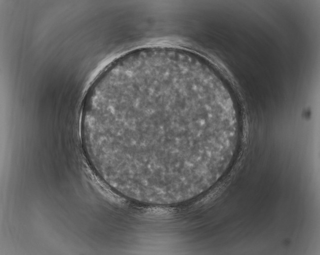 X0000114621224200912010953