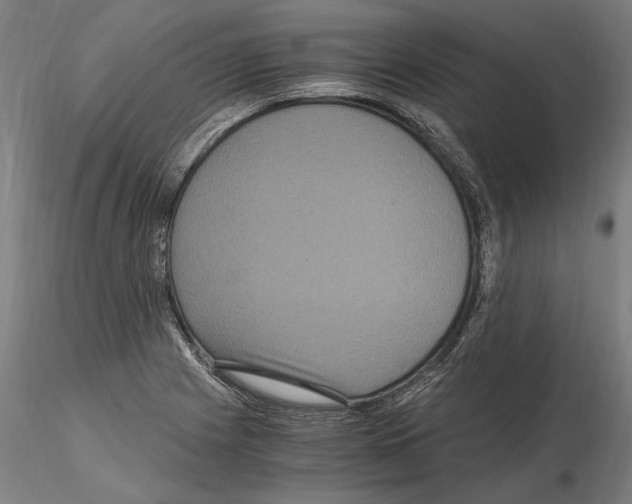 X0000114621225200912010953