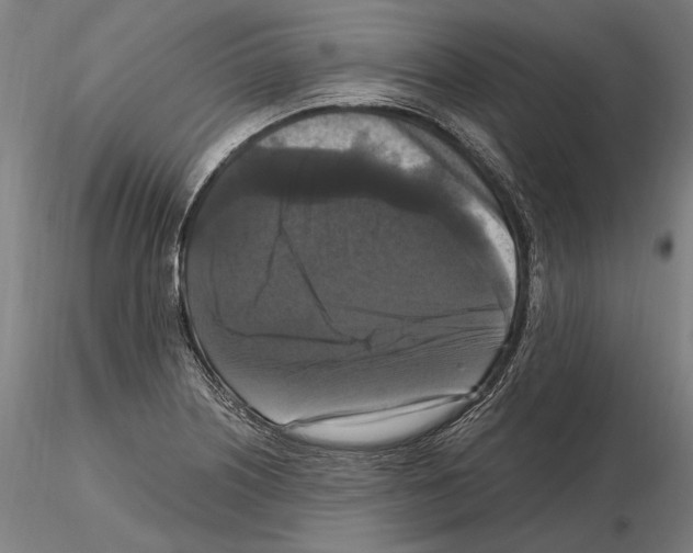 X0000114621226200912010953