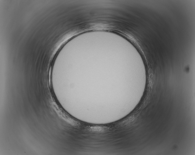 X0000114621227200912010953