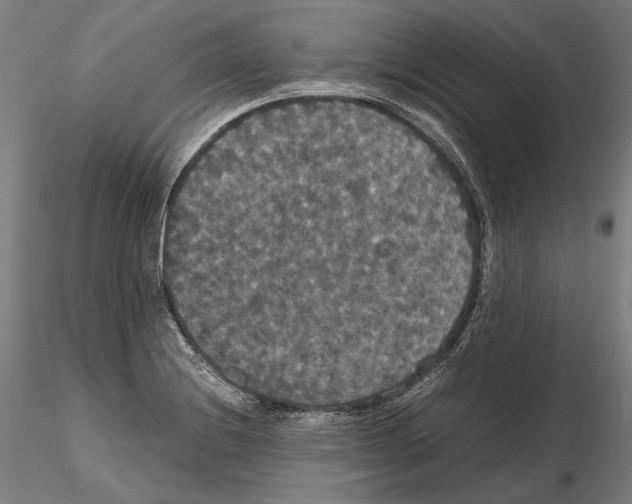 X0000114621228200912010953