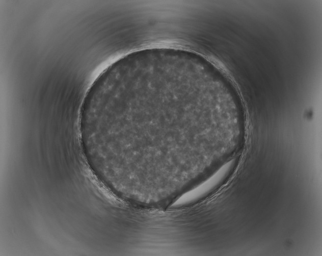 X0000114621230200912010953