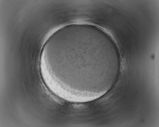 X0000114621231200912010953