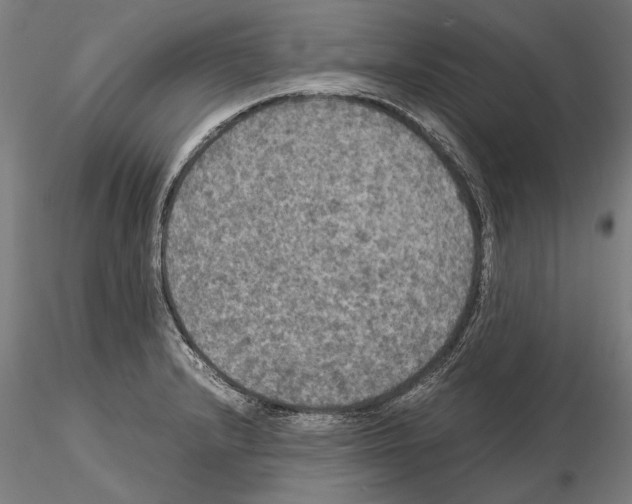 X0000114621232200912010953