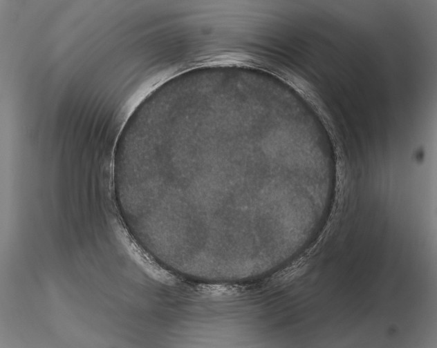 X0000114621234200912010953