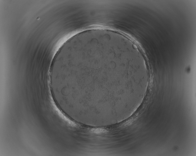 X0000114621239200912010953