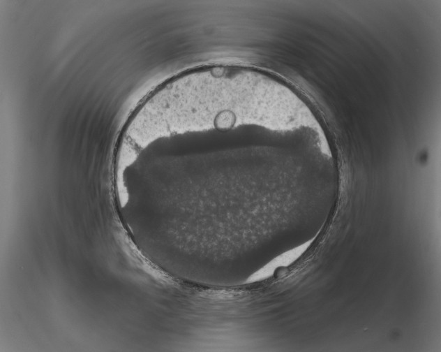 X0000114621240200912010953