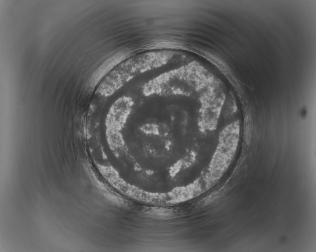 X0000114621241200912010953