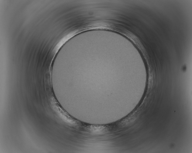 X0000114621242200912010953