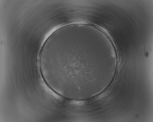 X0000114621243200912010953