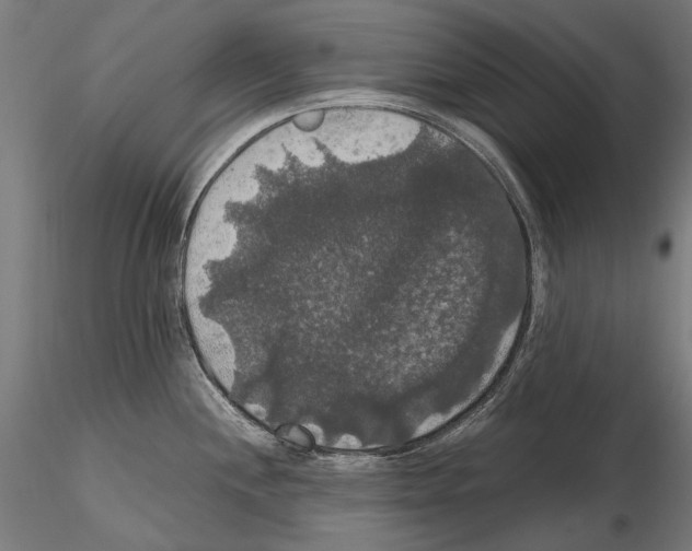 X0000114621244200912010953