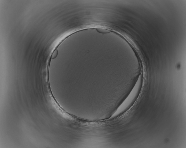 X0000114621246200912010953