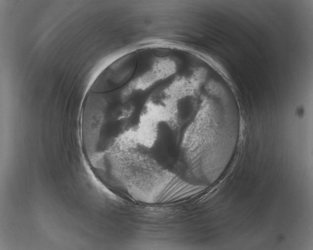 X0000114621247200912010953