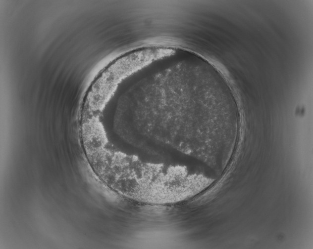 X0000114621248200912010954