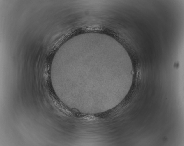 X0000114621250200912010953