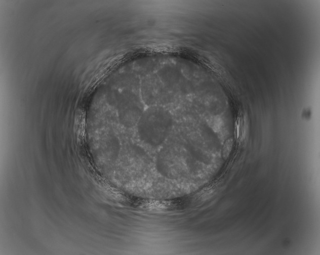 X0000114621251200912010953