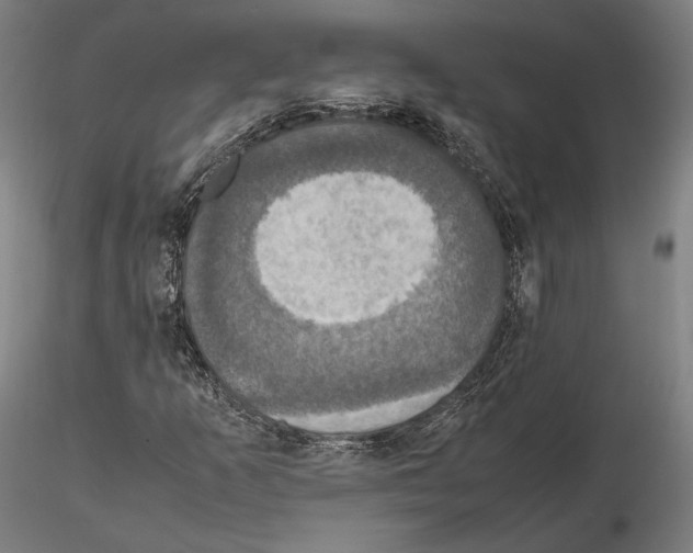 X0000114621253200912010953