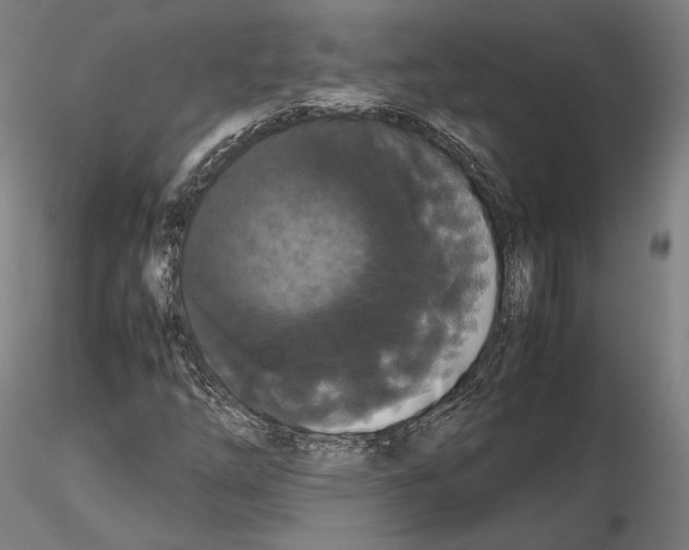 X0000114621254200912010953