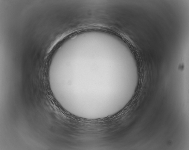 X0000114621256200912010953