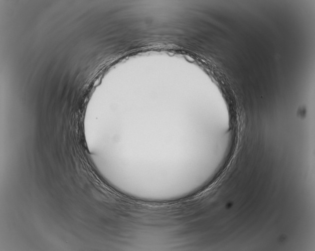 X0000114621257200912010952