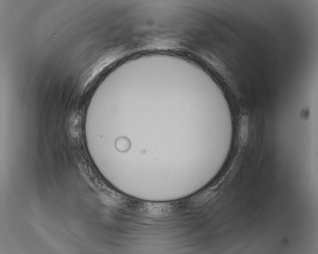 X0000114621258200912010952