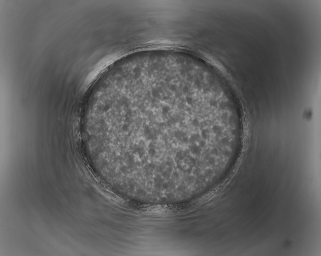 X0000114621259200912010952