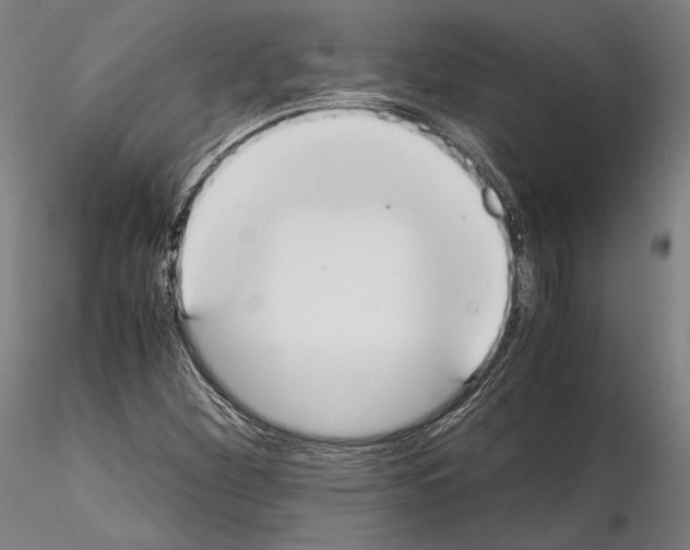 X0000114621260200912010952