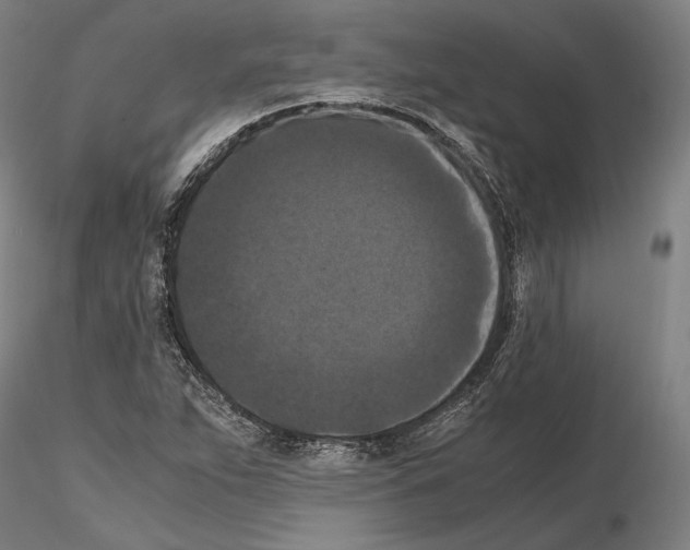 X0000114621263200912010952