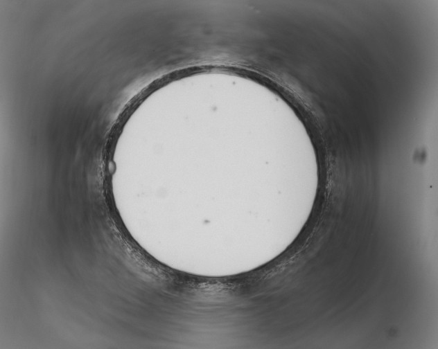 X0000114621264200912010952