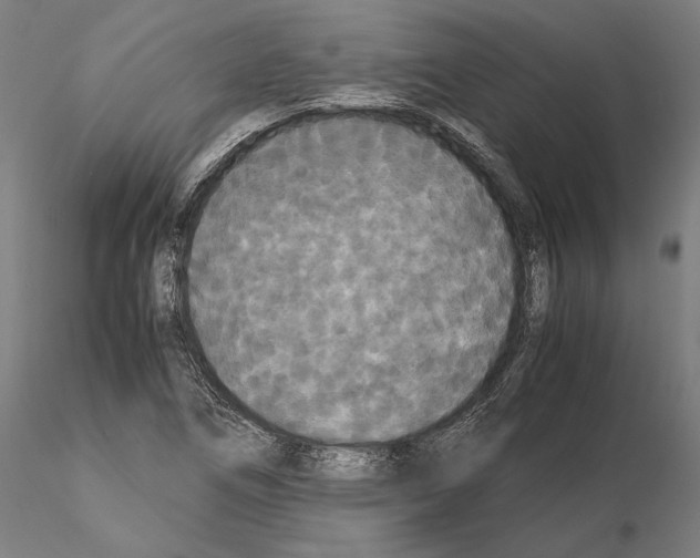 X0000114621266200912010952