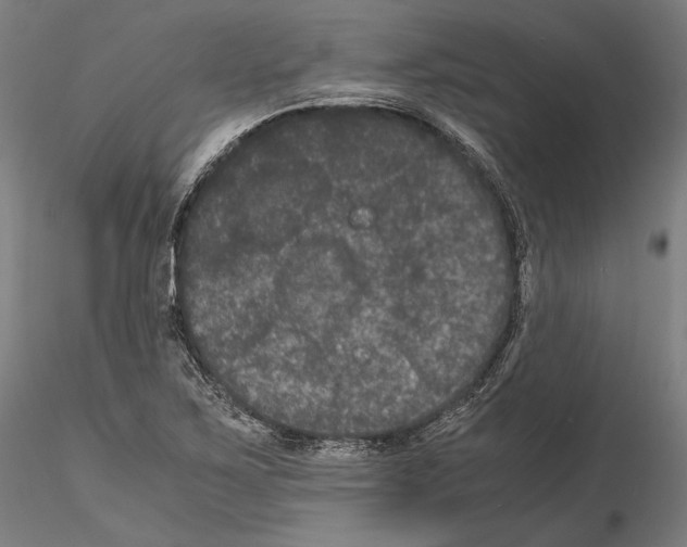 X0000114621267200912010952