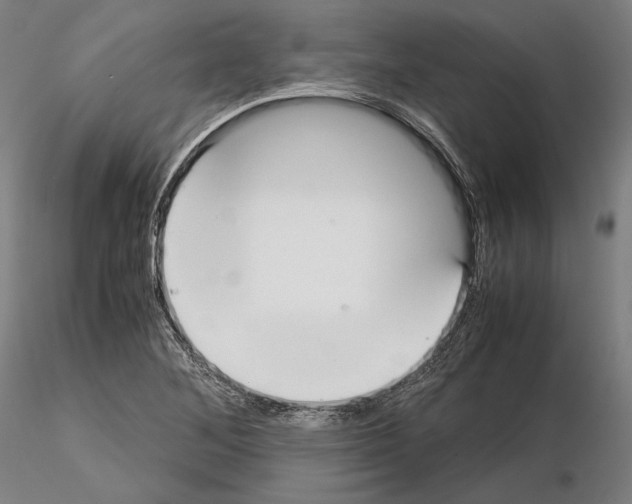 X0000114621268200912010952