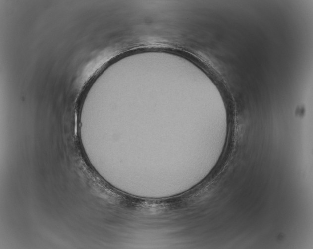 X0000114621269200912010952