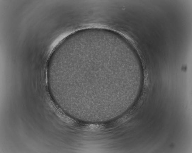 X0000114621271200912010952