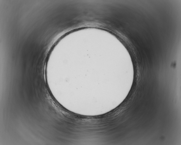 X0000114621272200912010952