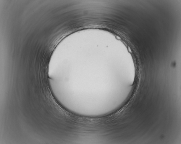 X0000114621273200912010952