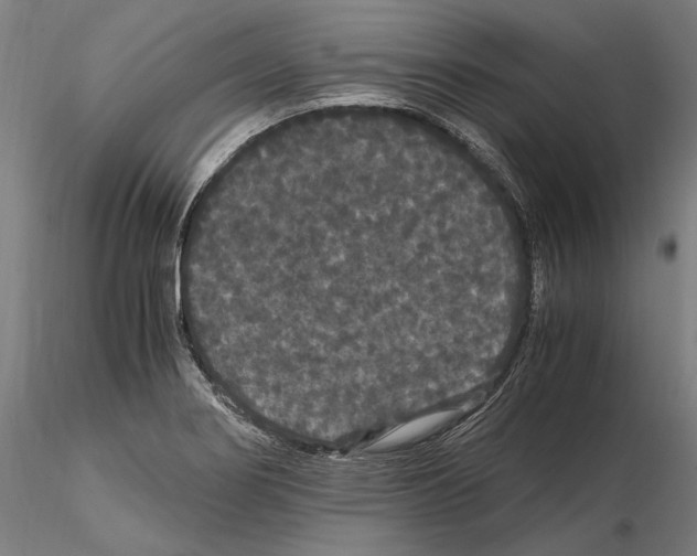 X0000114621274200912010952