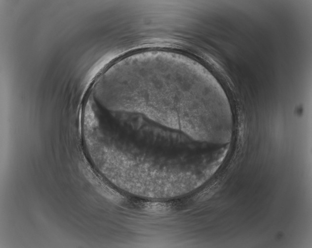 X0000114621275200912010952