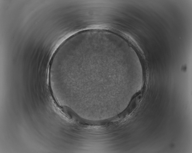 X0000114621276200912010952