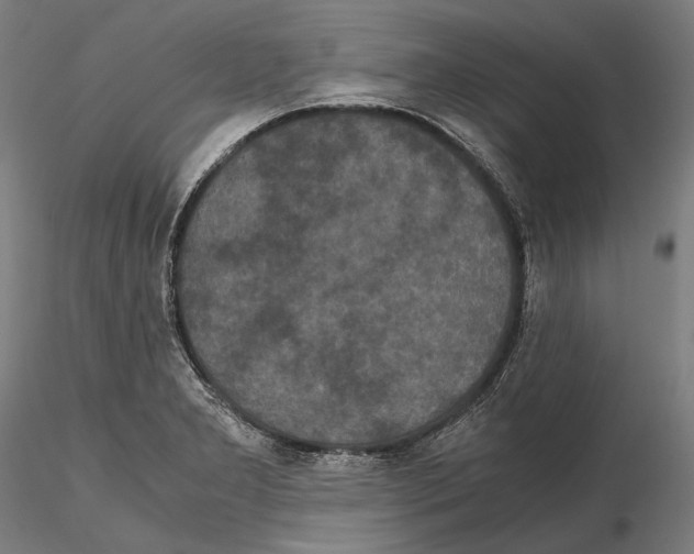 X0000114621277200912010952