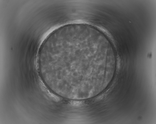 X0000114621278200912010952