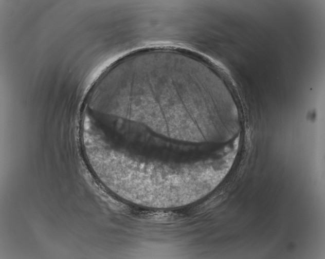 X0000114621279200912010952