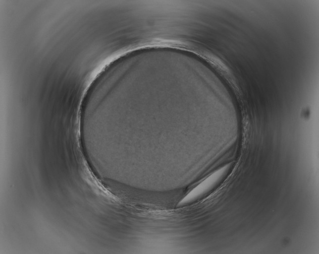 X0000114621280200912010952