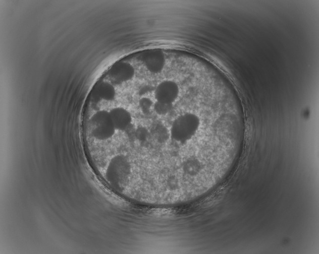 X0000114621283200912010952